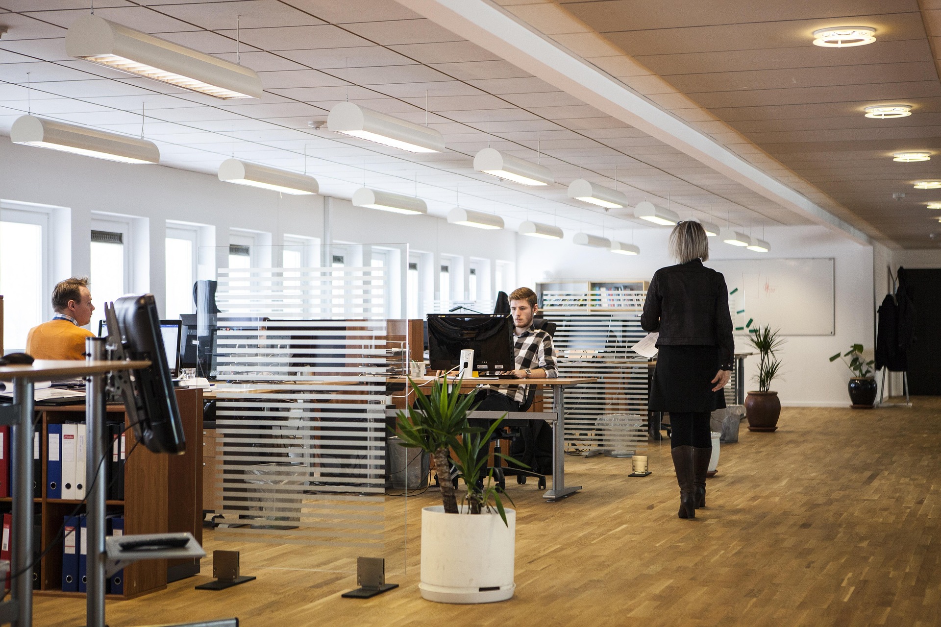 louisehoffmann83-office-2360063_1920
